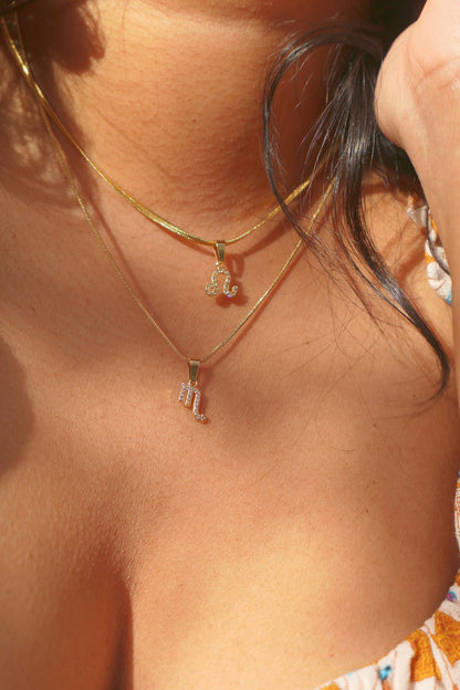 Dainty Zodiac Necklace