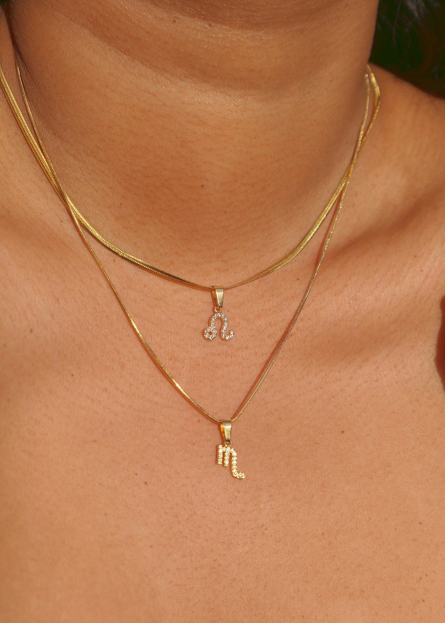 Dainty Zodiac Necklace