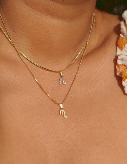 Dainty Zodiac Necklace